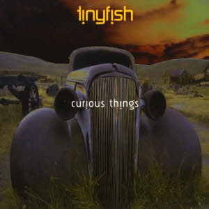 tinyfish - curious things sm