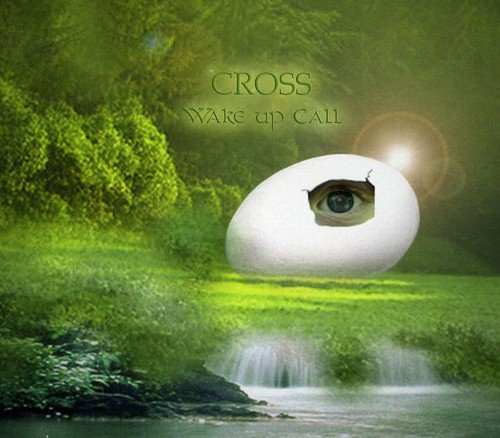 cross - wake up call