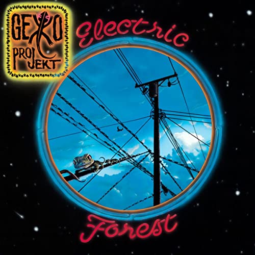 gekko projekt - electric forest