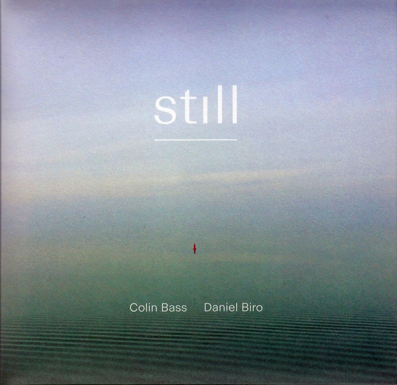 colin bass & daniel biro - still_20200715142101