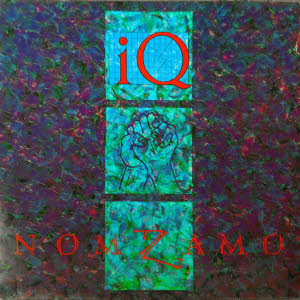 iq nomzamo