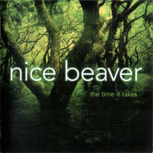 nice beaver - the time it takes